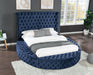 Galaxy Home Hazel Queen Bed in Blue image